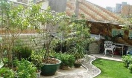 家庭花园爆料视频,揭秘园艺爱好者的绿色乐园